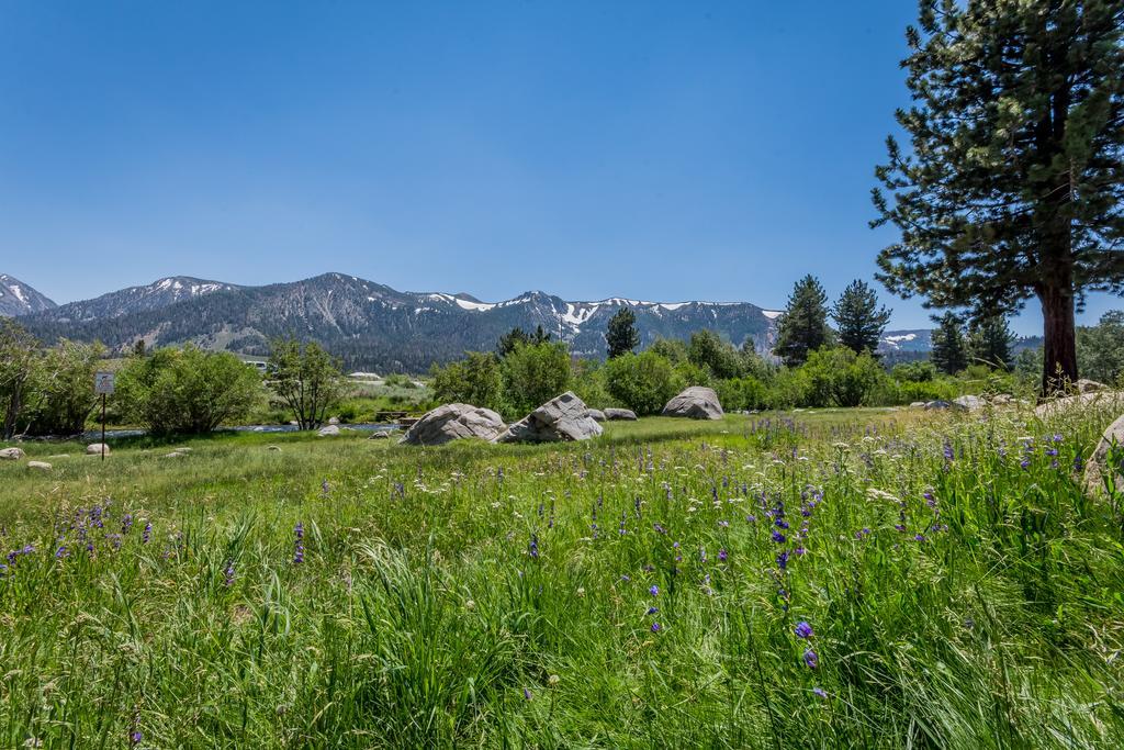 Mammoth Creek Condos Mammoth Lakes Exterior foto